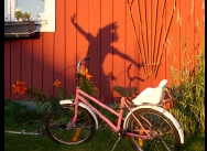 Swedenbike